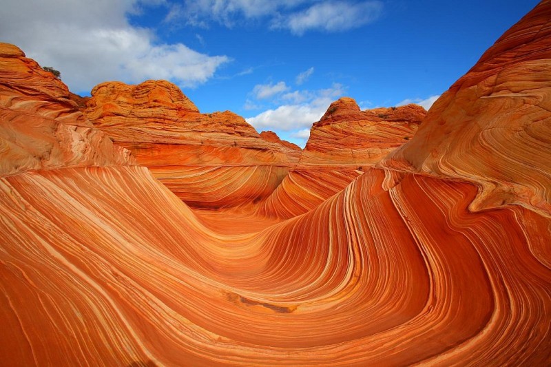 The_Wave_Coyote_Buttes